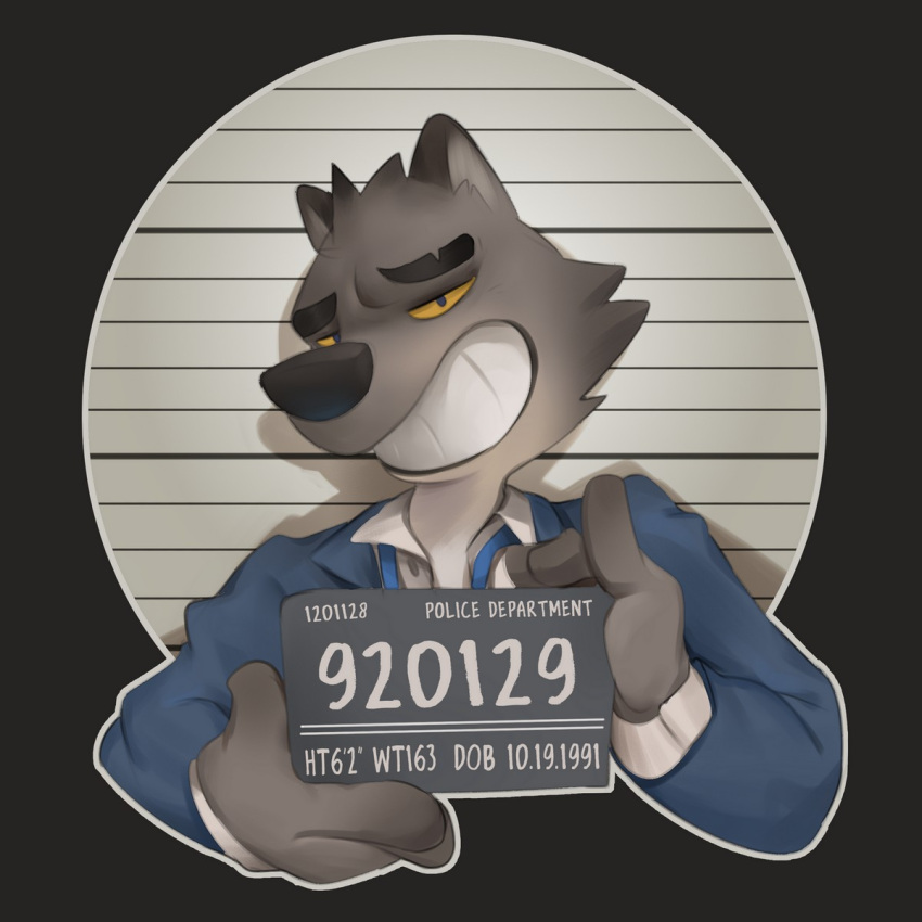 2021 anthro black_eyebrows blue_clothing blue_topwear canid canine canis clothing eyebrows fingers fur grey_body grey_fur grin hi_res looking_at_viewer mammal mugshot pawsve smile solo teeth topwear wolf