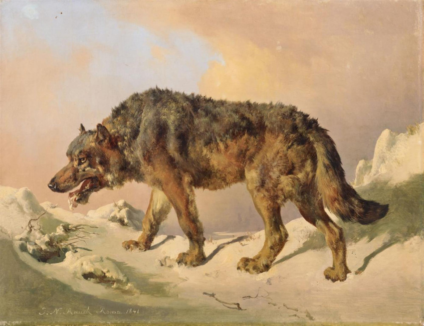 1841 19th_century ambiguous_gender ancient_art brown_body brown_fur canid canine canis digitigrade feral fur hi_res johann_nepomuk_rauch mammal messy_fur nude open_mouth public_domain quadruped signature snow solo traditional_media_(artwork) wolf