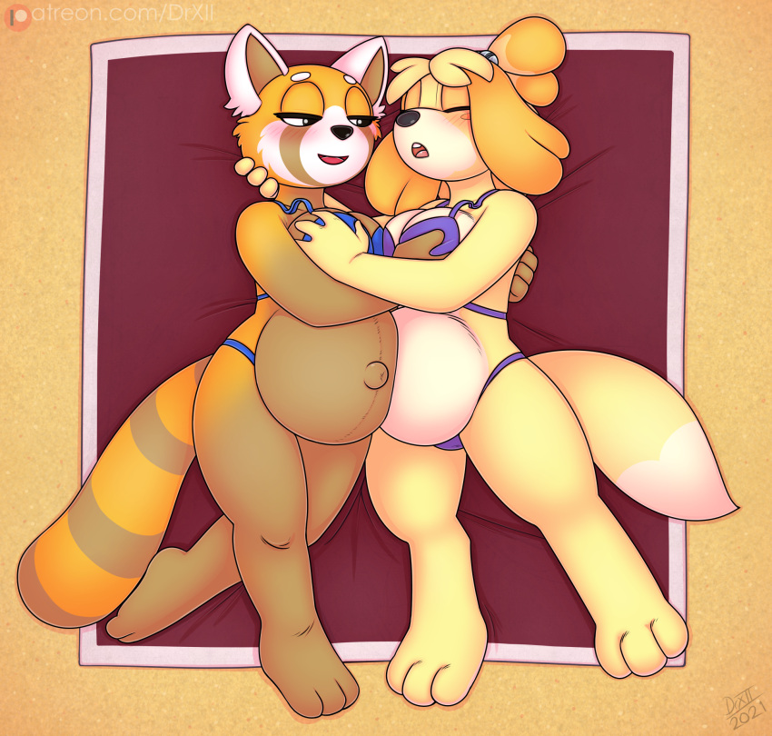 aggressive_retsuko ailurid animal_crossing anthro beach belly big_belly bikini blush breast_play breasts canid canine canis clothed clothing digital_media_(artwork) domestic_dog drxii duo female female/female fur hair hi_res isabelle_(animal_crossing) mammal navel nintendo open_mouth pregnant red_panda retsuko sand sanrio seaside shih_tzu smile swimwear toy_dog video_games yellow_body yellow_fur