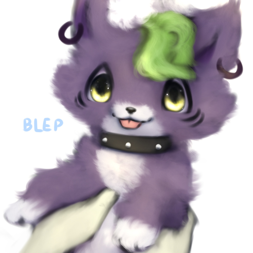 2021 blep canid canine canis collar female feral five_nights_at_freddy's five_nights_at_freddy's:_security_breach fluffy fluffy_tail fur fur_markings green_hair hair hi_res looking_at_viewer mammal markings paws piercing purple_hair roxanne_wolf_(fnaf) scottgames simple_background smile snoiifoxxo solo studded_collar text tongue tongue_out tuft video_games white_background wolf yellow_eyes yellow_sclera