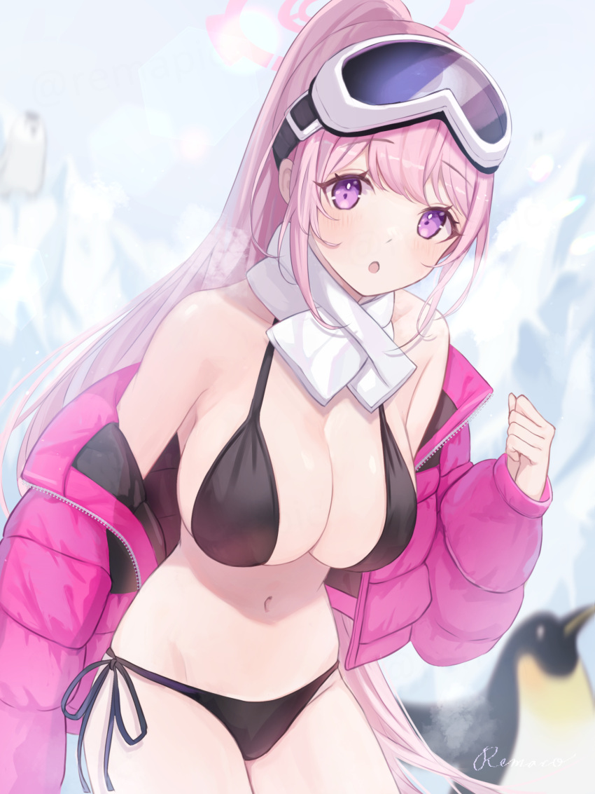 1girl bikini bird black_bikini blue_archive blurry breasts cleavage commentary_request depth_of_field eimi_(swimsuit)_(blue_archive) goggles goggles_on_head hair_between_eyes halo highres jacket large_breasts leaning_forward long_hair long_sleeves looking_at_viewer navel official_alternate_costume official_alternate_hairstyle open_clothes open_jacket outdoors penguin pink_hair pink_jacket ponytail purple_eyes remaco scarf sidelocks ski_goggles sleeveless solo stomach swimsuit white_scarf