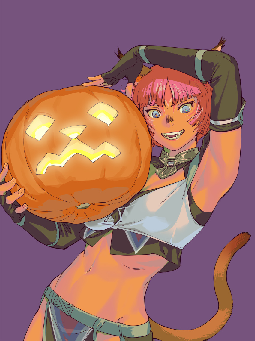 1girl absurdres adventurer_(ff11) animal_ears black_gloves breasts brown_tail cat_ears cat_girl cat_tail cleavage elbow_gloves facial_mark fangs final_fantasy final_fantasy_xi food gloves highres holding holding_food holding_pumpkin holding_vegetable jack-o'-lantern looking_at_viewer medium_breasts mithra_(ff11) navel open_mouth parted_bangs pumpkin purple_background short_hair simple_background smile solo tail tail_raised vegetable whisker_markings yuccoshi