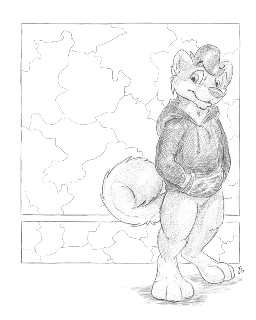 abstract_background anthro bottomless canid canine canis clothed clothing domestic_dog featureless_crotch flinters fur greyscale hair hi_res hoodie hoodie_only looking_at_viewer male mammal monochrome shiba_inu solo spitz tail topwear topwear_only