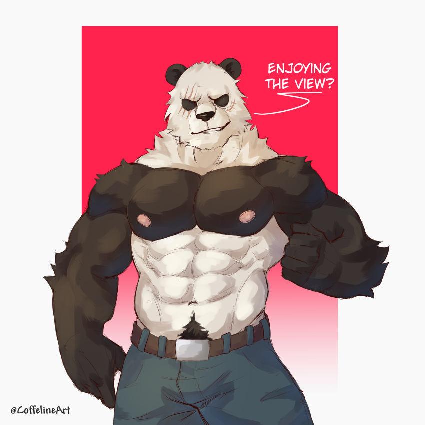 abs anthro belt bottomwear clothing coffeline giant_panda gouhin hi_res male mammal muscular nipples pants pecs pubes scar simple_background smile solo ursid