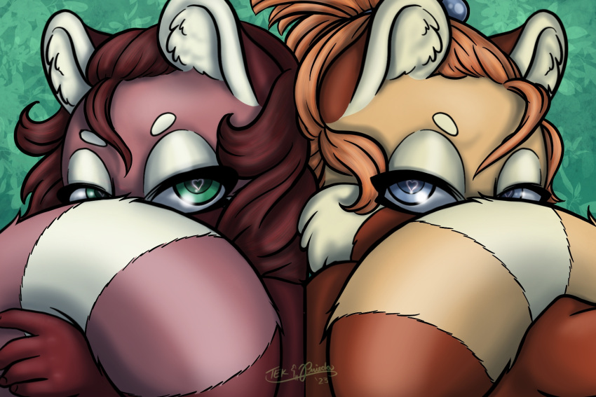 &lt;3 &lt;3_eyes ailurid anthro bi-bi_(tekandprieda) di-di_(tekandprieda) digital_media_(artwork) duo female first_person_view fluffy fluffy_tail fur hi_res mammal raised_tail red_panda seductive short_stack sibling_(lore) story_at_source tail tekandprieda_(artist) the_rune_tapper twins_(lore)