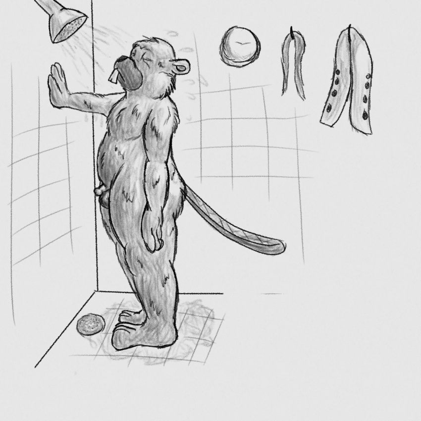 3_toes 4_fingers anthro balls beaver broadside_beach buckteeth bucky_beaver coat_hook eyes_closed feet fingers flaccid flat_tail fluffy_chest fur genitals greyscale hi_res humanoid_genitalia humanoid_penis leaning_on_wall lendri_mujina male mammal monochrome nude overweight overweight_male penis rodent shipwrecked_64 shower sketch slightly_chubby slightly_chubby_male solo standing teeth toes wet wet_body wet_fur