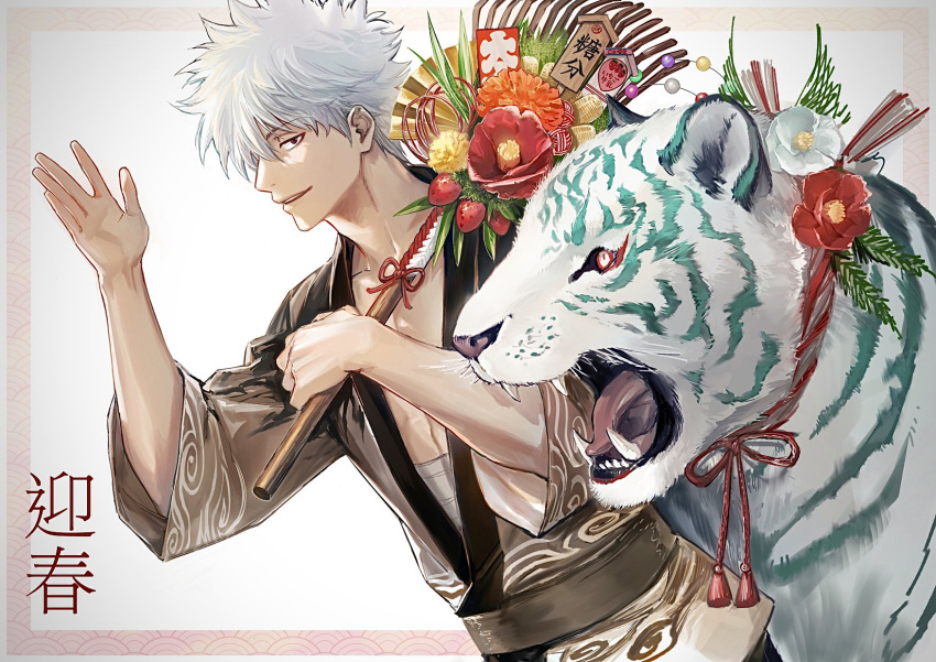 1boy brown_kimono chinese_zodiac commentary_request flower framed gesture_request gintama highres japanese_clothes kimono long_sleeves open_clothes sakata_gintoki short_hair silver_hair tagme tiger uraki_(tetsu420) white_tiger year_of_the_tiger