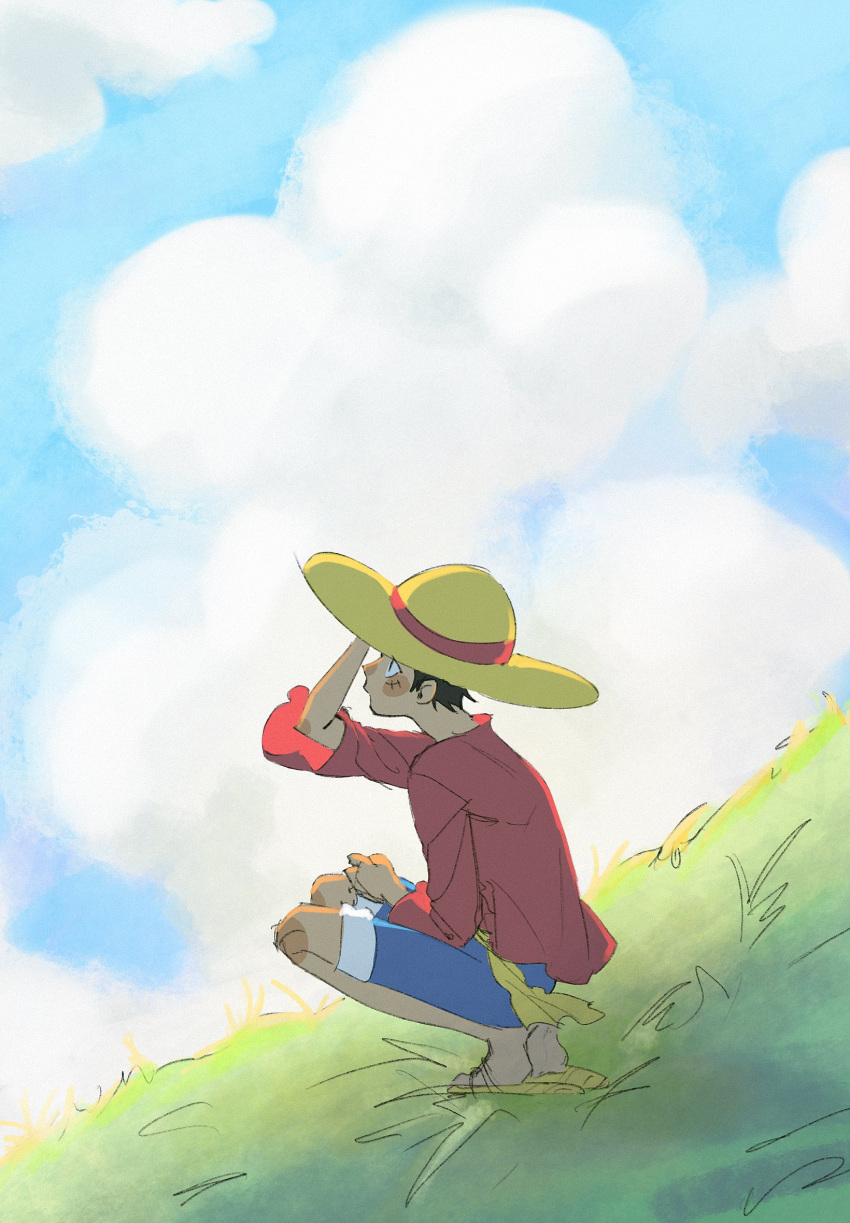 1boy arm_up black_hair blue_shorts cloud commentary frilled_shirt frills grass hamster_sally hand_on_headwear hat highres looking_up male_focus monkey_d._luffy one_piece profile red_shirt sandals sash scar scar_on_face shirt short_hair shorts sky solo squatting straw_hat yellow_sash