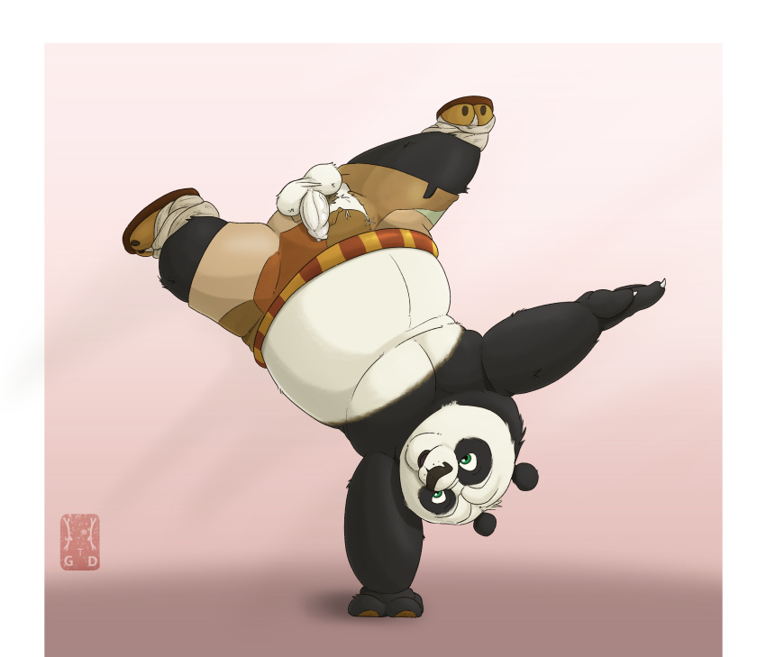 2024 absurd_res balls bear belly border bottomwear clothing colored digital_media_(artwork) dreamworks flaccid footwear foreskin full-length_portrait garo_(artist) genitals giant_panda handstand hi_res kung_fu_panda male mammal master_po_ping pants penis portrait pubes sandals shaded simple_background solo spread_legs spreading surprised_expression wardrobe_malfunction