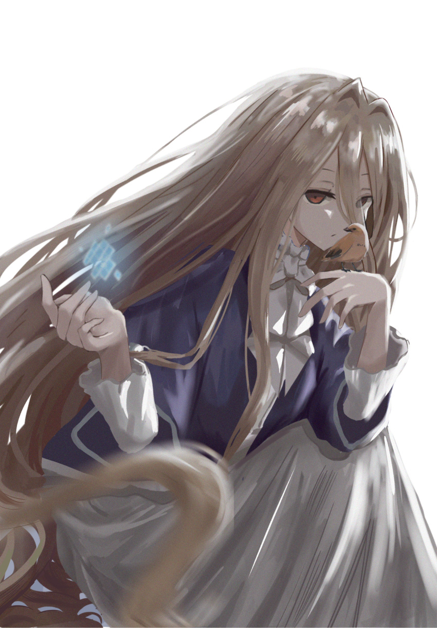 1girl absurdly_long_hair absurdres ascot bird bird_on_hand brown_eyes brown_hair casting_spell closed_mouth dress expressionless feet_out_of_frame hair_intakes hands_up highres long_hair looking_at_viewer matsu_bo_kuri sense_(sousou_no_frieren) sitting solo sousou_no_frieren stille_(sousou_no_frieren) very_long_hair white_ascot