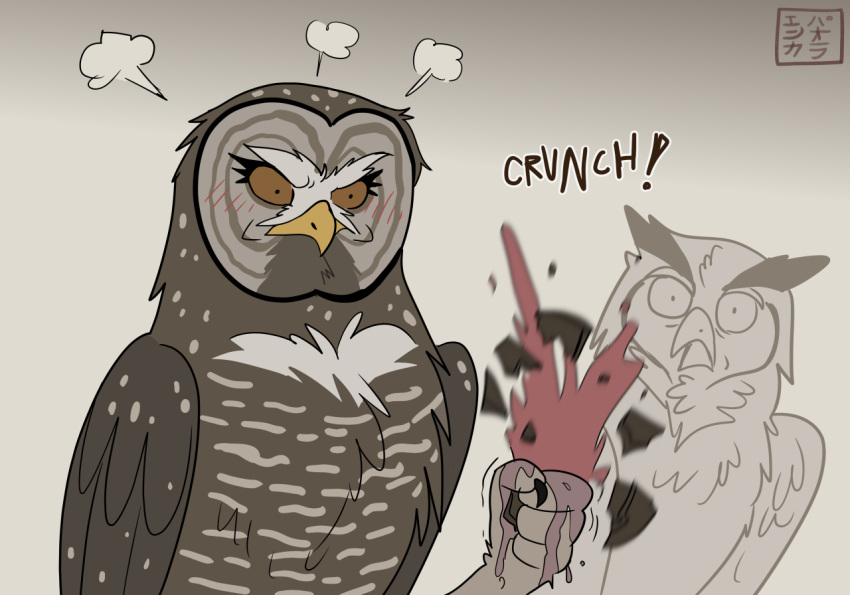 angry avian bird brown_body brown_eyes brown_feathers claws crushing_object duo feathers female feral great_horned_owl grey_background guardians_of_ga'hoole horned_owl kabuki-aku liquid otulissa owl simple_background spotted_owl strix_(genus) surprise toe_claws true_owl
