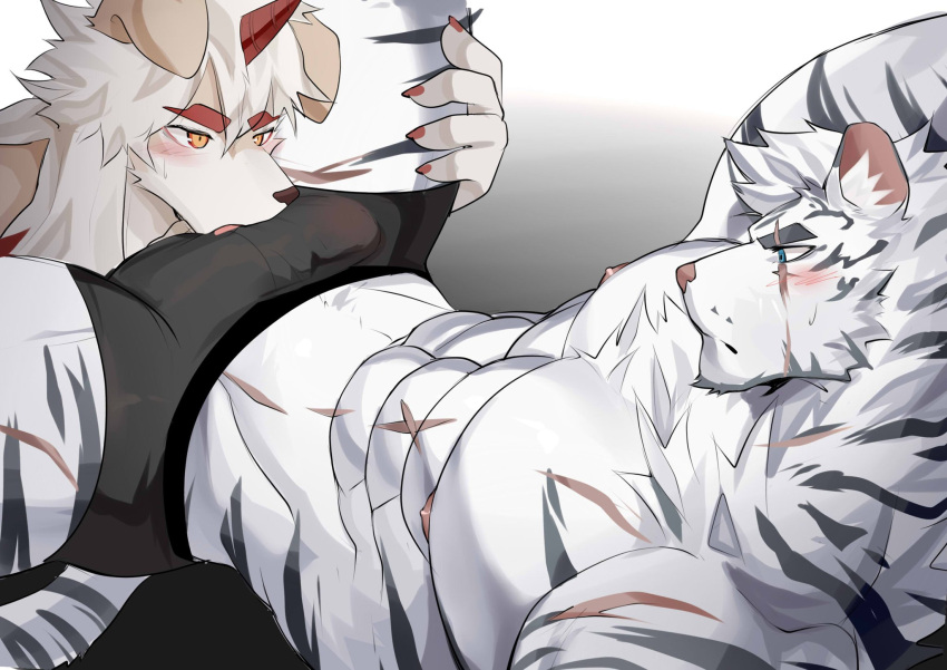 2boys abs animal_ears ao_(chung0u0) arknights bangs bara black_male_underwear blush brown_fur bulge dog_boy dog_ears erection erection_under_clothes eye_contact feet_out_of_frame fellatio furry furry_male highres horns hung_(arknights) large_pectorals licking licking_bulge licking_penis looking_at_another lying male_focus male_underwear medium_hair mountain_(arknights) multicolored_hair multiple_boys muscular muscular_male navel nipples on_back oral orange_hair pectorals penis reward_available scar scar_across_eye scar_on_face scar_on_stomach short_hair single_horn solo_focus spread_legs stomach streaked_hair sweatdrop thick_eyebrows thick_thighs thighs tiger_boy tiger_ears topless_male two-tone_fur underwear underwear_only white_fur white_hair