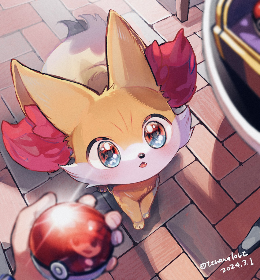 1boy amezawa_koma animal_ear_fluff animal_focus artist_name blush brick_floor calem_(pokemon) commentary_request dated fennekin highres holding holding_poke_ball looking_up multicolored_fur poke_ball poke_ball_(basic) pokemon pokemon_(creature) pokemon_xy pov pov_hands red_fur reflective_surface solo_focus white_fur yellow_fur