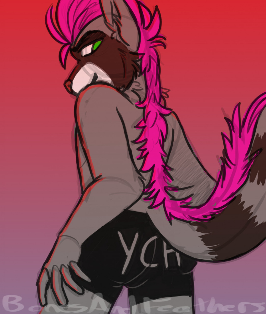 anthro backsack balls bonesandfeathers boxer_briefs bulge butt clothing ethan_bedlam genitals green_eyes hair hi_res looking_back male mammal mohawk pink_hair procyonid raccoon solo underwear ych_clothing