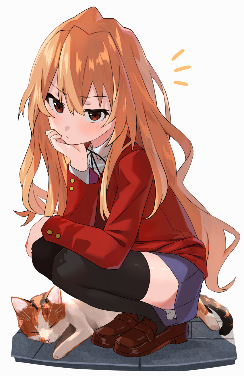 1girl absurdres aisaka_taiga arm_rest artist_request bangs black_legwear black_ribbon blazer blue_skirt brown_eyes brown_footwear brown_hair cat closed_mouth collared_shirt commentary eyebrows_visible_through_hair full_body head_rest highres jacket light_blush long_hair long_sleeves looking_at_viewer neck_ribbon notice_lines oohashi_high_school_uniform pleated_skirt pouty_lips red_jacket ribbon school_uniform shirt shoes skirt solo squatting thighhighs toradora! white_background white_shirt
