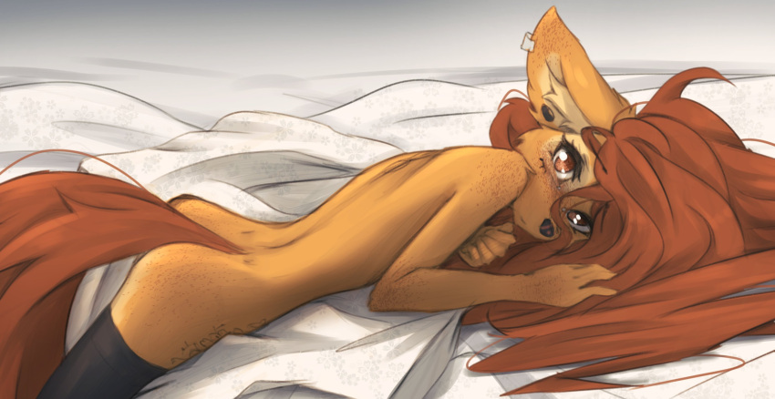 2024 5_fingers anthro apogee_(tinygaypirate) bed bed_covers bedding brown_eyes brown_hair brown_tail butt canid canine canis domestic_dog ear_piercing female fingers flesh_tunnel fur furniture hair hi_res hip_tattoo inner_ear_fluff long_hair long_tail looking_at_viewer lying mammal on_bed on_front piercing solo tail tan_body tan_fur tattoo thigh_highs_only tinygaypirate tuft