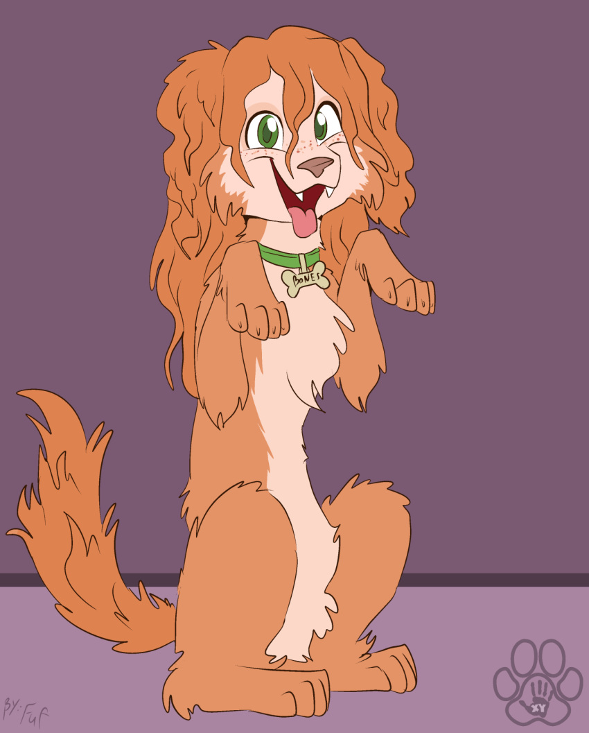 after_transformation canid canine canis collar domestic_dog feral fuf fur hair hi_res male mammal not_furry open_mouth simple_background solo species_transformation tail tongue tongue_out transformation
