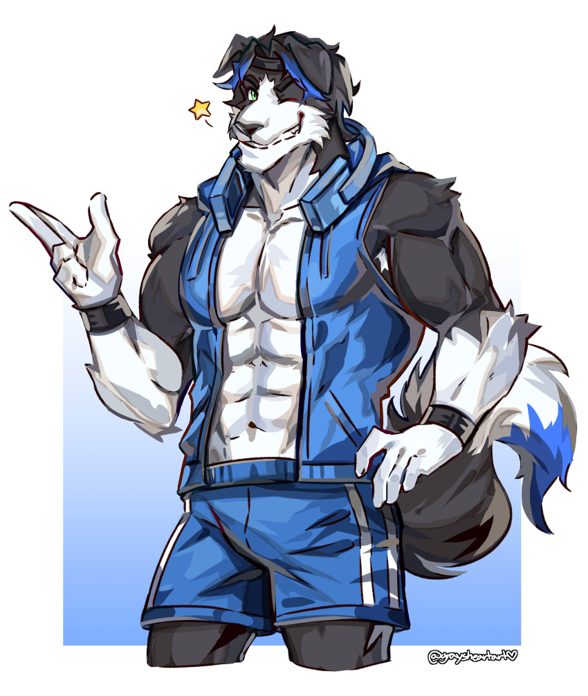 2021 5_fingers abs absurd_res accessory anthro athletic athletic_anthro athletic_male black_body black_claws black_fur black_hair black_nose blue_highlights border_collie bottomwear canid canine canis claws clothed clothing collie digital_media_(artwork) domestic_dog fingers fur gloves graysheartart grin hair handwear headband herding_dog hi_res highlights_(coloring) humanoid_hands looking_at_viewer male mammal mason_(trivolmckenley) multicolored_body multicolored_fur muscular muscular_anthro muscular_male navel one_eye_closed pastoral_dog pecs portrait sheepdog shorts signature smile solo three-quarter_portrait topwear two_tone_body two_tone_fur vest white_body white_fur wink wristband