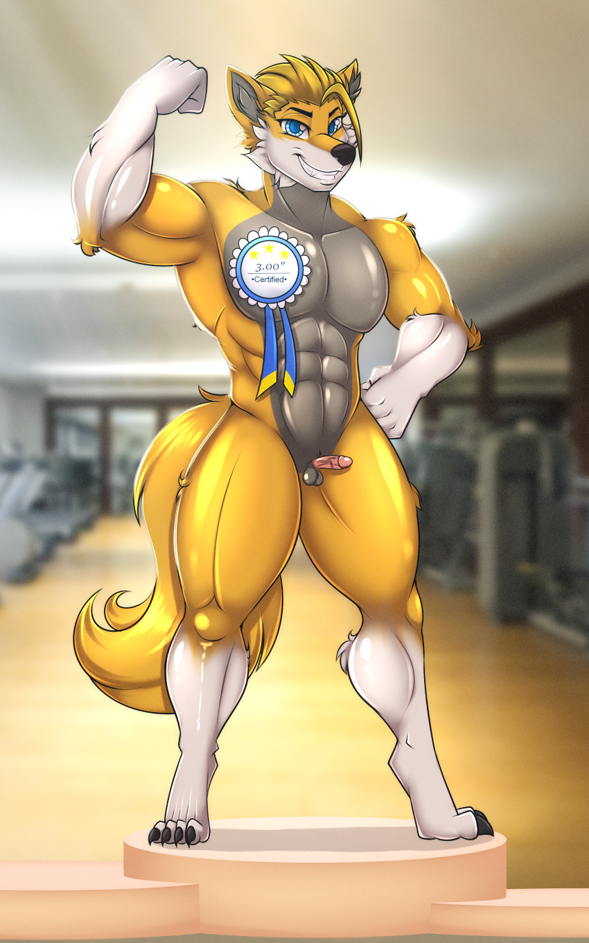 absurd_res anthro balls blake_(disambiguation) canid canine canis confident genitals gym happy hi_res male mammal muscular nude penis small_balls small_penis small_penis_appreciation smile solo tatemil wolf