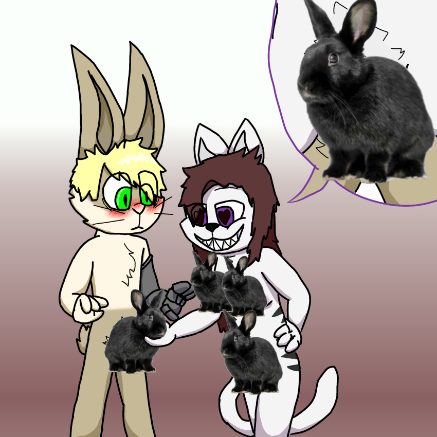 &lt;3 &lt;3_eyes 2022 anthro blonde_hair blush brown_hair cat_tail censored chest_tuft darlan_bunnit(character) darli_buni domestic_cat domestic_rabbit duo dutch_rabbit felid feline felis female green_eyes hair hand_on_hip hi_res lagomorph leporid male male/female mammal markings mechanical_arm oryctolagus pubes purple_eyes rabbit scut_tail sharp_teeth short_tail smile speech_bubble striped_markings stripes teeth tuft whiskers