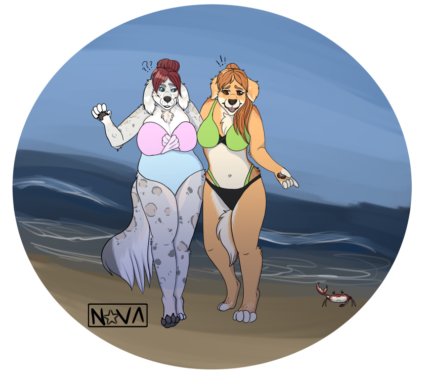 absurd_res artfight bikini canid canine clothing digital_media_(artwork) female hi_res mammal novalynxa one-piece_swimsuit overweight plus_size swimwear