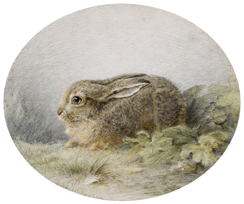 absurd_res ambiguous_gender ancient_art brown_body brown_fur european_hare feral fur grass hare hi_res lagomorph leporid long_ears ludwig_beckmann mammal nude outside painting_(artwork) plant public_domain side_view signature solo traditional_media_(artwork) watercolor_(artwork) whiskers