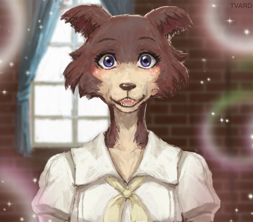 2020 anthro beastars blue_eyes blush brick_wall canid canine canis cheek_tuft clothed clothing curtains detailed_background facial_tuft female fur inside juno_(beastars) looking_at_viewer mammal multicolored_body multicolored_fur open_mouth signature solo tuft tvard two_tone_body two_tone_fur wall_(structure) window wolf