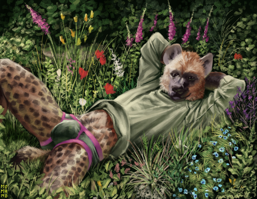 2022 absurd_res anthro briefs bulge clothed clothing detailed_background digital_media_(artwork) flower hands_behind_head hi_res hyaenid lineless looking_at_viewer lying male male_anthro mammal momamo on_back outside plant raised_clothing raised_shirt raised_topwear shaded shirt soft_shading solo spotted_hyena spread_legs spreading topwear underwear