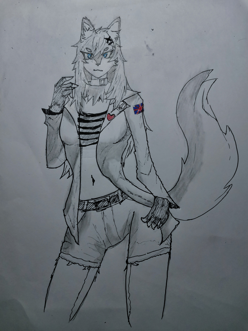 a absurd_res canid canine canis drawing fan_(disambiguation) female from hi_res just mammal rough_(disambiguation) sally shiiorina shiiorina's solo wolf