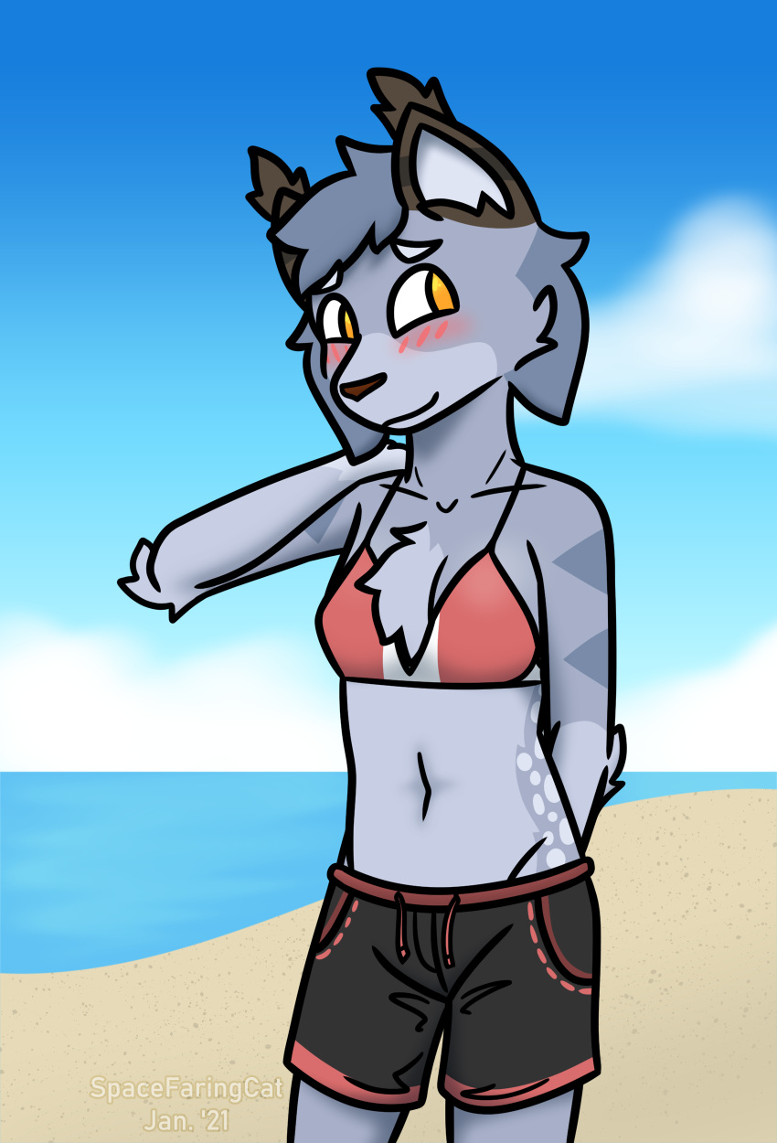 absurd_res anthro beach bikini bikini_top blush breasts chest_tuft clothing cloud collarbone day digital_media_(artwork) drawstring ear_tuft elbow_tufts felid feline female fur grey_body grey_fur hair hand_behind_head hand_behind_neck hi_res looking_aside looking_away lynx mammal navel nipples olivia_(spacefaringcat) orange_eyes outside pockets portrait public sea seaside short_hair sky small_breasts smile solo spacefaringcat swimming_trunks swimwear three-quarter_portrait tuft water