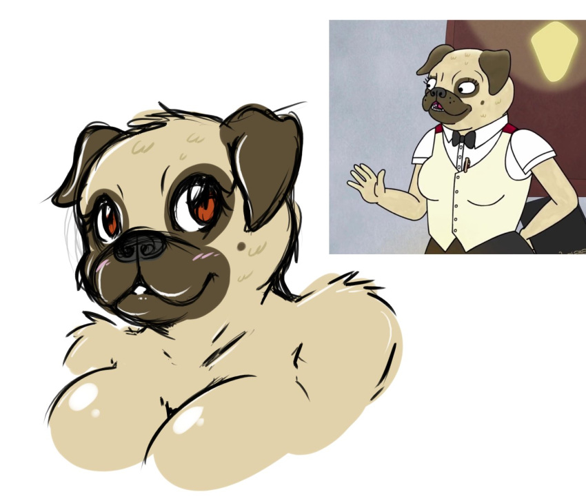 2018 anthro big_breasts black_nose blush bojack_horseman breasts brown_eyes bust_portrait canid canine canis colored_sketch domestic_dog ep777 female fur hi_res mammal molosser netflix nude pickles_aplenty portrait pug reference_image simple_background sketch small_molosser solo tan_body tan_fur toy_dog white_background