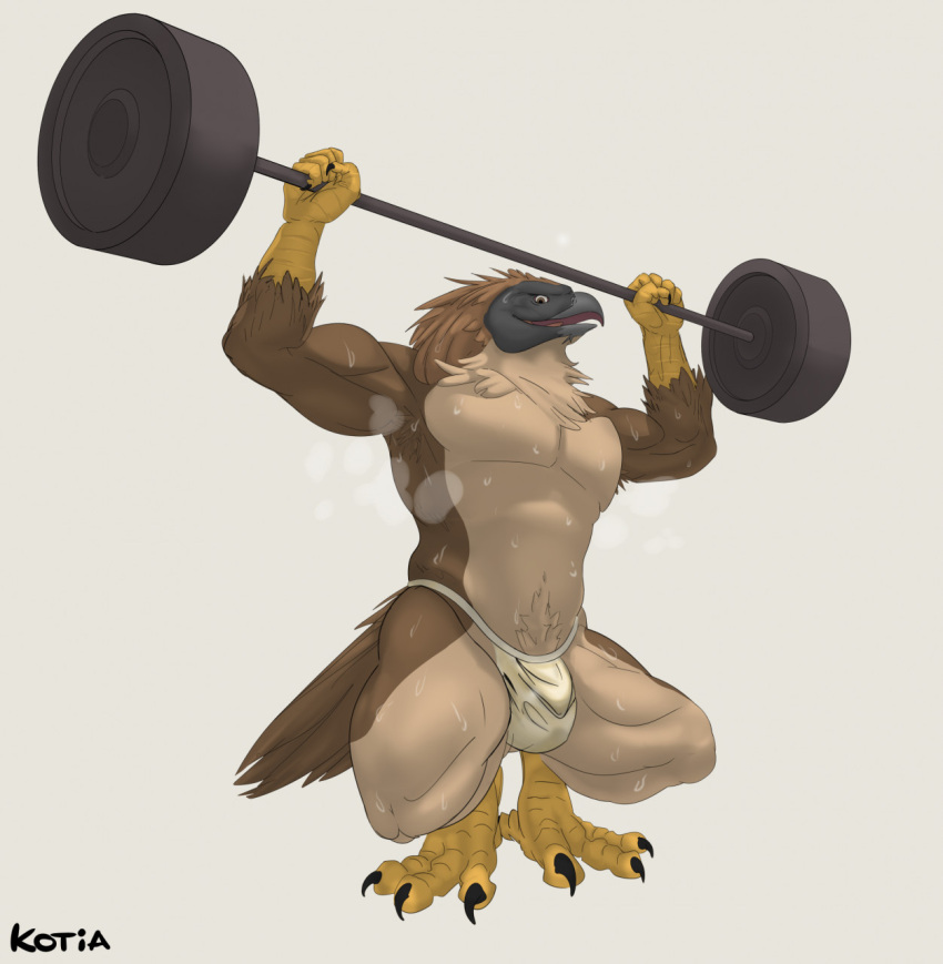 abs accipitrid accipitriform anthro armpit_hair avian beak biceps bird bodily_fluids body_hair bulge claws clothing crouching dirty dirty_jockstrap eagle exercise feathers genitals hi_res jockstrap jockstrap_only kotia looking_at_viewer male muscular muscular_anthro muscular_male open_mouth pecs philippine_eagle pirate_eagle raised_arm raised_leg simple_background solo steam sweat sweat_droplets sweatdrop sweaty_genitalia sweaty_legs sweaty_thighs talon_hands talons underwear weightlifting weights workout