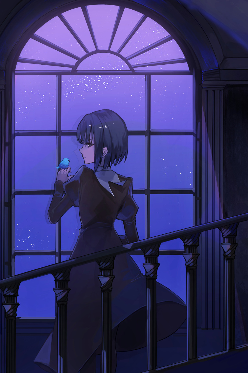 1girl absurdres animal back bangs bird bird_on_hand black_dress black_eyes black_hair blue_bird closed_mouth commentary_request dress expressionless highres indoors juliet_sleeves kuonji_alice long_sleeves looking_at_viewer looking_back mahou_tsukai_no_yoru night night_sky profile puffy_sleeves reflection short_hair sky teizen_(rkm8656) window