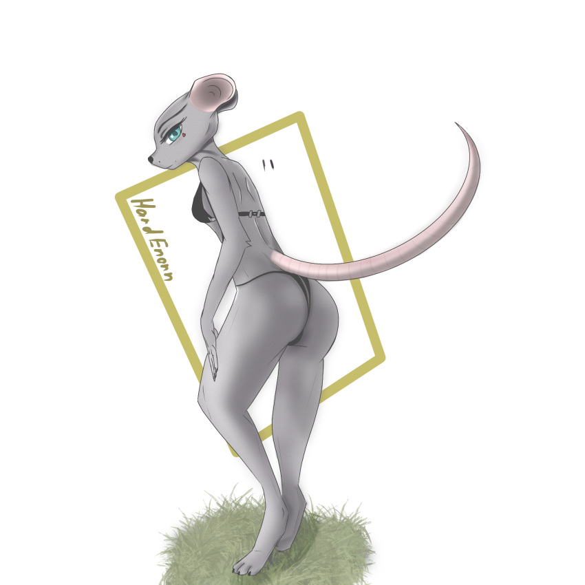 anthro butt clothing female grass hardenonn hi_res lingerie mammal mouse murid murine plant rodent solo