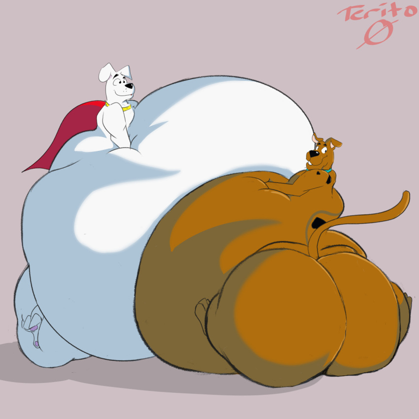 2021 belly belly_press big_belly big_butt butt canid canine canis cape clothing collar collar_only domestic_dog duo feral great_dane hanna-barbera hi_res hyper hyper_belly immobile krypto krypto_the_superdog looking_back male mammal mastiff molosser nude obese obese_feral obese_male overweight overweight_feral overweight_male raised_tail scooby-doo scooby-doo_(series) terito