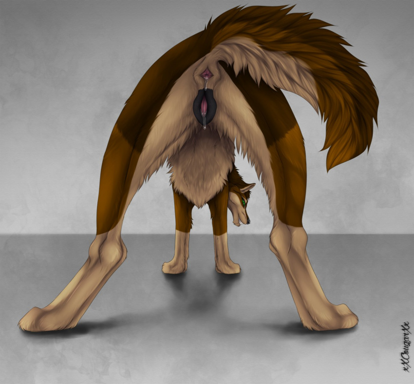 2017 anal_juice animal_genitalia animal_pussy anus bodily_fluids brown_body brown_fur butt canid canine canine_pussy canis digital_drawing_(artwork) digital_media_(artwork) digitigrade female feral fur genital_fluids genitals green_eyes looking_at_viewer looking_back mammal presenting presenting_anus presenting_hindquarters presenting_pussy pussy pussy_juice raised_tail rear_view simple_background solo wolf xxcougarxx yara_(karn_the_wolf)