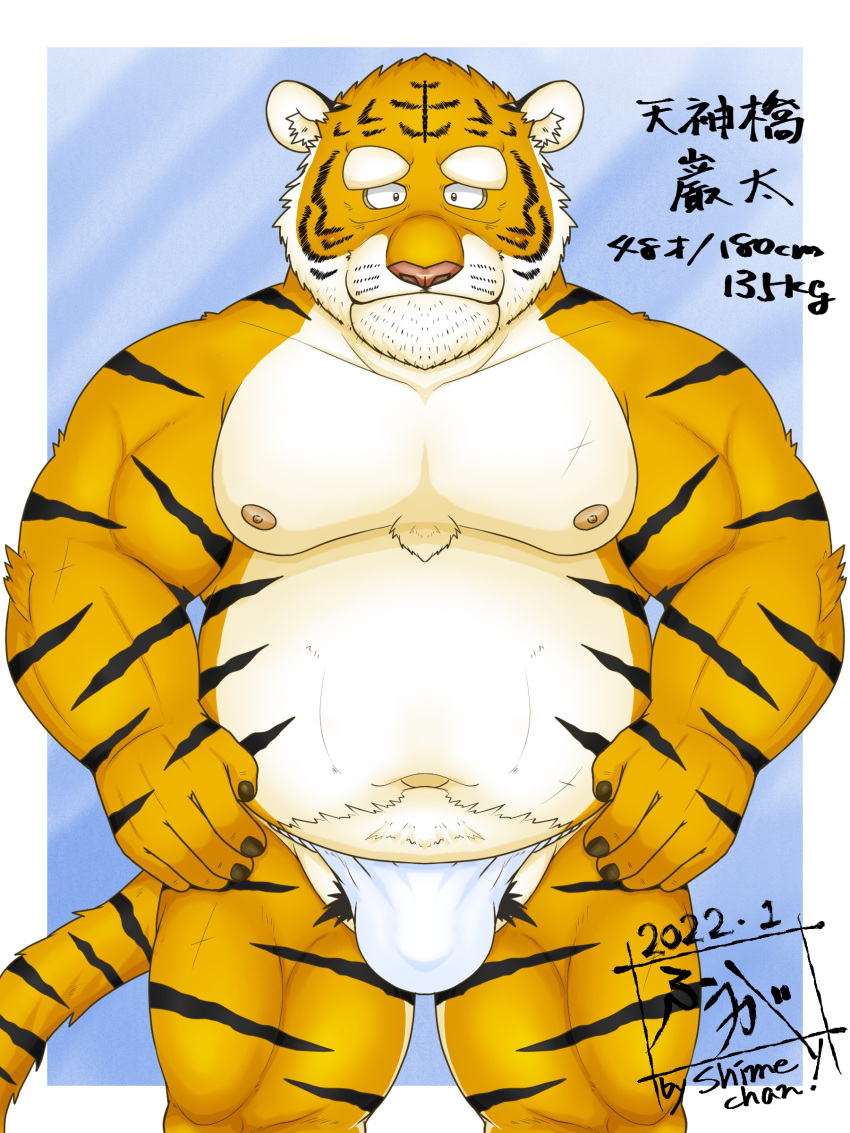 2022 absurd_res anthro asian_clothing belly bulge clothing east_asian_clothing felid fundoshi hi_res humanoid_hands japanese_clothing kemono male mammal moobs navel nipples overweight overweight_male pantherine solo tanutronik753_k tiger underwear white_clothing white_fundoshi white_underwear