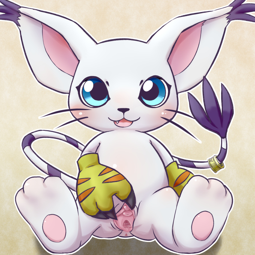 2022 3_fingers 3_toes accessory anthro anus bandai_namco black_nose blue_eyes blush bodily_fluids claws clothed clothing cute_fangs digimon digimon_(species) digital_media_(artwork) ear_tuft feet female fingers fur furgonomics gaping gaping_pussy gatomon genital_fluids genitals glistening glistening_eyes gloves gloves_only handwear handwear_only hi_res hirame42 jewelry looking_at_viewer markings mostly_nude multicolored_body multicolored_fur open_mouth open_smile partially_clothed pawpads pink_pawpads presenting presenting_pussy purple_body purple_fur pussy pussy_juice ring shadow sitting smile solo spread_legs spread_pussy spreading striped_markings striped_tail stripes tail_accessory tail_jewelry tail_markings tail_ring tail_tuft toes tuft whiskers white_body white_fur