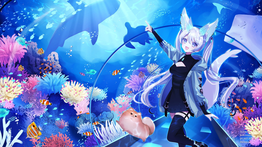 1girl animal_ears aquarium blue_eyes boots dress ear_piercing edenia_euclase eneru_(enepuni) fish fox_ears fox_girl fox_tail highres indie_virtual_youtuber jacket long_sleeves looking_at_viewer pale_skin piercing pointing tail thighhighs twintails white_hair