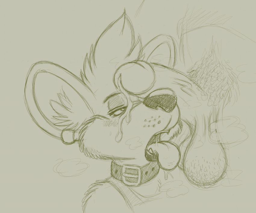ahegao anthro aroused balls bedroom_eyes blush bodily_fluids breath canid canine canis circumcised clothing collar cum cum_drip cum_on_face cum_on_muzzle diego_(sniffur) dripping drooling duo ear_piercing erection fox genital_fluids genitals hairy_balls half-closed_eyes hyaenid hybrid lips looking_pleasured male male/male mammal mana_(manaozyfolf) musk musk_clouds narrowed_eyes panting penis penis_on_face piercing precum pubes saggy_balls saliva seductive shirt sniffur solo_focus spotted_hyena sweat tank_top thick_lips tongue tongue_out topwear vein whisker_spots wolf