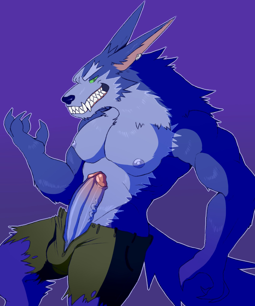 2021 4_fingers anthro balls_in_underwear balls_outline biceps big_penis blue_body blue_fur bottomwear bulge canid canine canis claws clothed clothing digital_media_(artwork) ear_piercing ear_ring erection fangs finger_claws fingers fleshformomo fur genital_outline genitals green_eyes hi_res humanoid_genitalia humanoid_penis league_of_legends looking_at_viewer male mammal muscular muscular_anthro muscular_male neck_tuft nipples partially_clothed pecs penis piercing pivoted_ears portrait retracted_foreskin riot_games sharp_claws sharp_teeth shorts simple_background smile solo teeth three-quarter_portrait torn_clothing tuft vein video_games warwick_(lol) were werecanid werecanine werewolf wolf