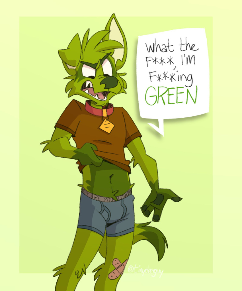 angry anthro bandage blue_boxer_briefs blue_clothing blue_seam_boxer_briefs blue_seam_underwear blue_underwear boxer_briefs canid canine canis clothed clothing clothing_lift collar domestic_dog english_text fur gray_waistband green_background green_body green_fur green_nose hi_res male mammal matt_riskely open_mouth profanity red_clothing red_shirt red_topwear sharp_teeth shirt shirt_lift simple_background solo t-shirt teeth teeth_showing text tinydeerguy tongue_showing topwear underwear