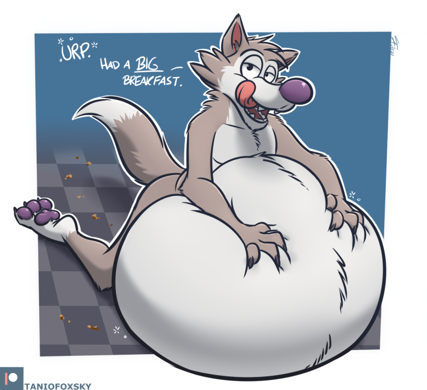 2021 abdominal_bulge anthro belly big_belly burping canid canine canis chip_the_wolf cookie_crisp dialogue hand_on_stomach hyper hyper_belly kneeling licking licking_lips looking_at_viewer male mammal nude open_mouth overweight overweight_male raised_tail solo tanio text tongue tongue_out wolf