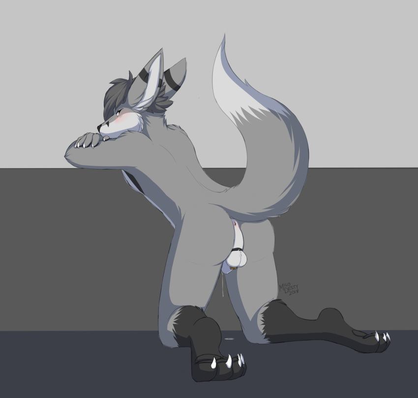 2018 4_toes 5_fingers abstract_background absurd_res anthro anus backsack balls biped black_feet blush bodily_fluids butt canid canine chastity_cage chastity_device claws crossed_arms dated digital_drawing_(artwork) digital_media_(artwork) dripping feet fennec fingers fox fur genital_fluids genitals grey_body grey_fur grey_hair hair hi_res kneeling kobaj leaning lock looking_at_viewer looking_back male mammal milodesty monotone_hair multicolored_body multicolored_fur nude penis precum precum_drip presenting presenting_hindquarters puddle raised_tail shy signature simple_background solo striped_ears toes white_body white_fur