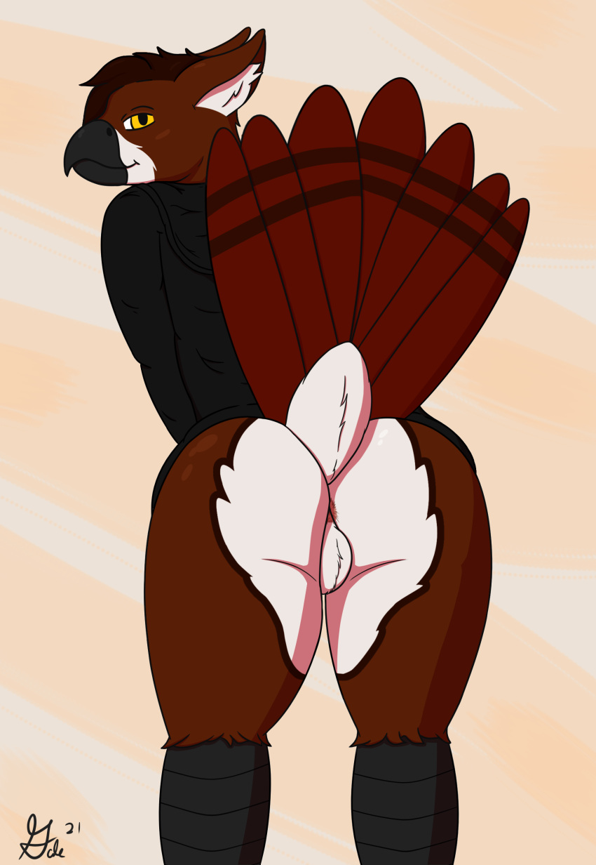 absurd_res anthro anus avian backsack balls beak bird bottomless butt clothed clothing digital_drawing_(artwork) digital_media_(artwork) feathers gale64 genitals hair hi_res jacket looking_at_viewer looking_back male presenting raised_tail scuted_arms signature solo tail_feathers topwear