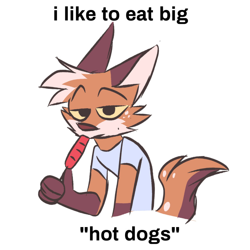 1:1 2020 anthro brown_body brown_fur canid canine clothing eyebrows food fox fur hi_res hot_dog jaybeyyy male mammal orange_body orange_fur raised_eyebrows shirt simple_background solo spots text topwear white_background
