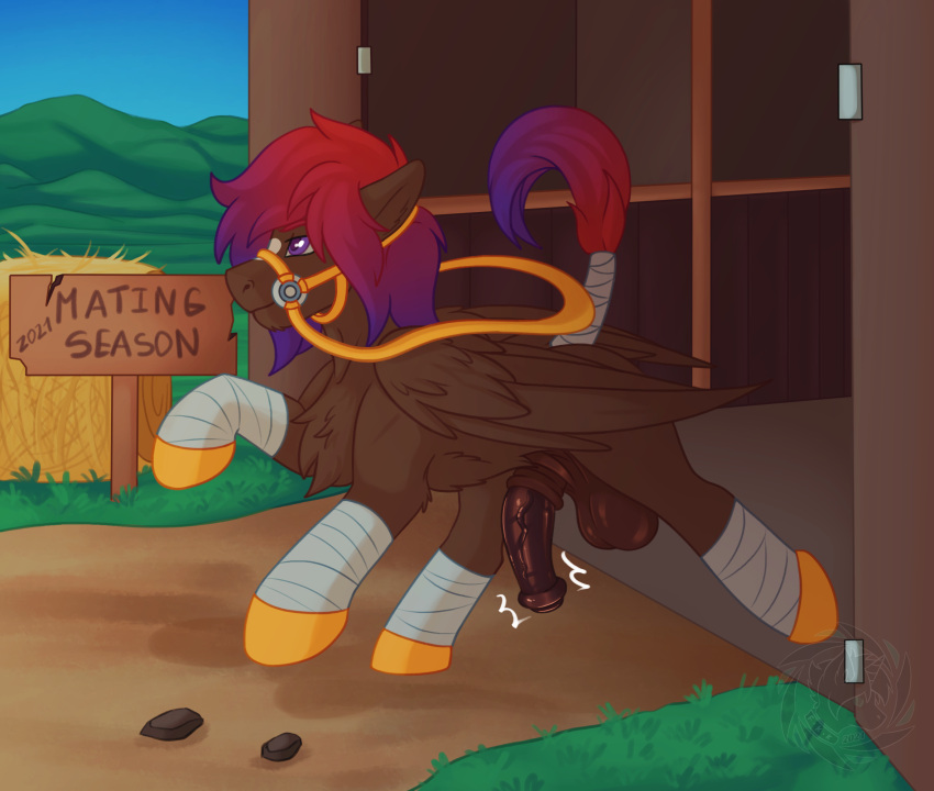 balls digital_media_(artwork) equid equine feral fkk genitals hair hasbro hi_res horse male mammal my_little_pony penis result solo wings ych_(character)