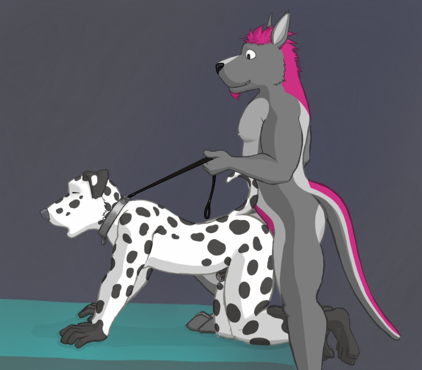 anal anal_penetration anthro anthro_on_anthro anthro_penetrated anthro_penetrating anthro_penetrating_anthro bed black_body black_fur black_leash black_nose black_spots canid canine canis cel_shading chastity_cage chastity_device collar dalmatian digital_media_(artwork) doggystyle domestic_dog duo eyes_closed floppy_ears from_behind_position fur furniture gloves_(marking) grey_collar grin hair kangaroo leash leash_pull leg_markings lock looking_pleasured macropod male male/male male_penetrated male_penetrating male_penetrating_male mammal markings marsupial metal_collar nude on_bed penetration pink_body pink_fur pink_hair purple_hair raised_tail sex shaded short_hair sketch smile socks_(marking) spots spotted_body spotted_fur toohbic tuubi white_body white_fur white_spots