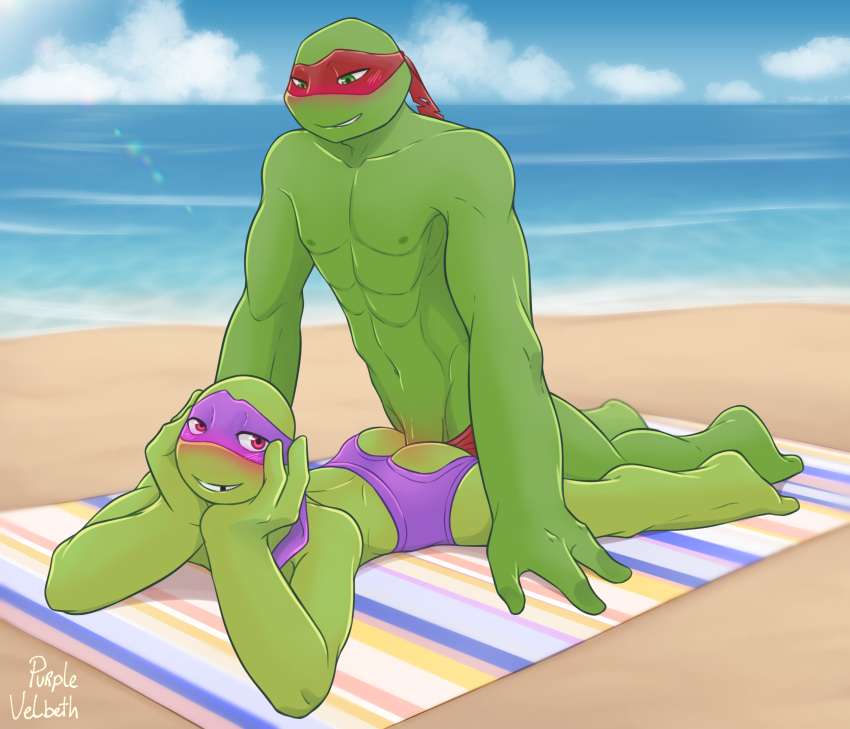absurd_res anal anal_penetration anthro beach beach_sex brother brothers butt_window clothed clothing donatello_(tmnt) duo hi_res incest_(lore) male male/male partially_clothed penetration purplevelbeth raphael_(tmnt) reptile scalie seaside shell-less sibling teenage_mutant_ninja_turtles teenage_mutant_ninja_turtles_(2012) turtle underwear
