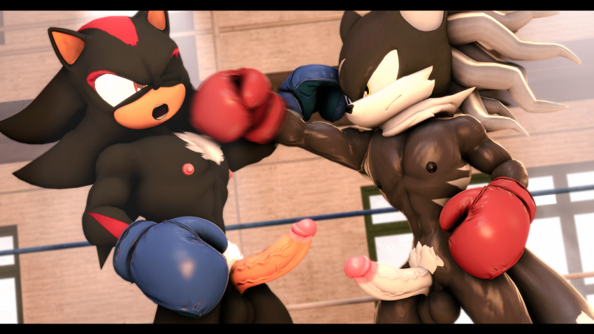 3d_(artwork) absurd_res balls boxing boxing_gloves canid canine canis clothing competition digital_media_(artwork) duo erection eulipotyphlan fighting_ring genitals gym handwear hedgehog hi_res infinite_(sonic) jackal loafsfm male male/male mammal muscular muscular_male nipples pecs penis punch sega sexfight sexual_competition shadow_the_hedgehog sonic_forces sonic_the_hedgehog_(series) sport